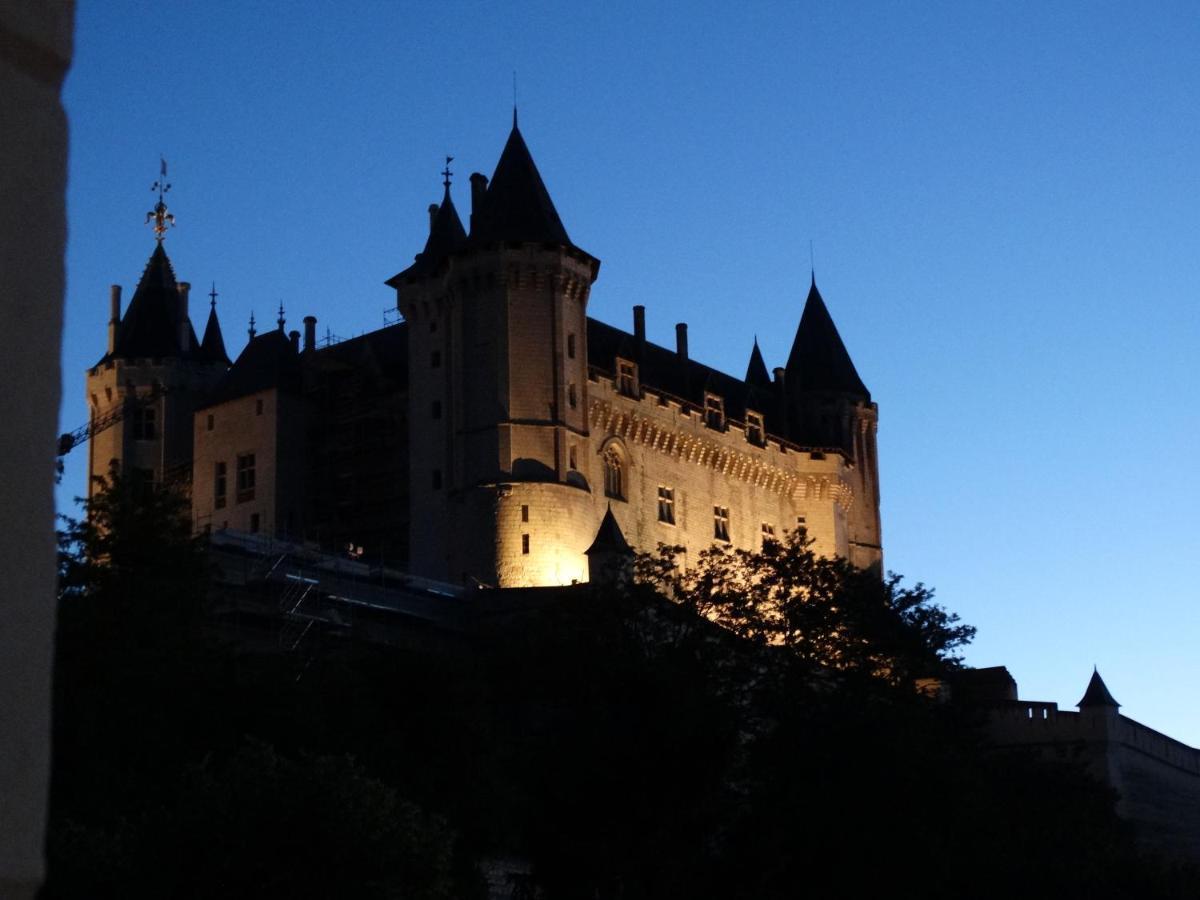 Vue Splendide Sur Chateau Saumur Kültér fotó