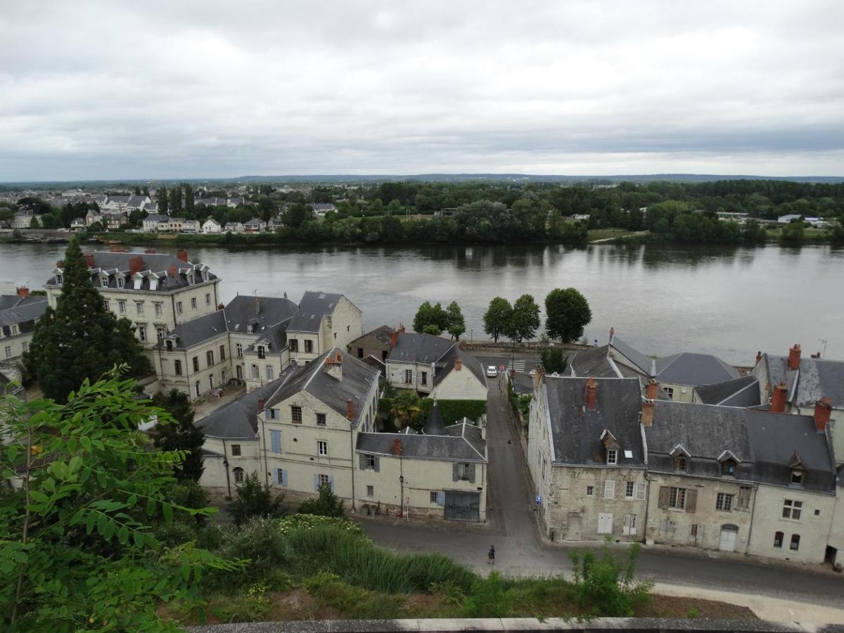 Vue Splendide Sur Chateau Saumur Kültér fotó